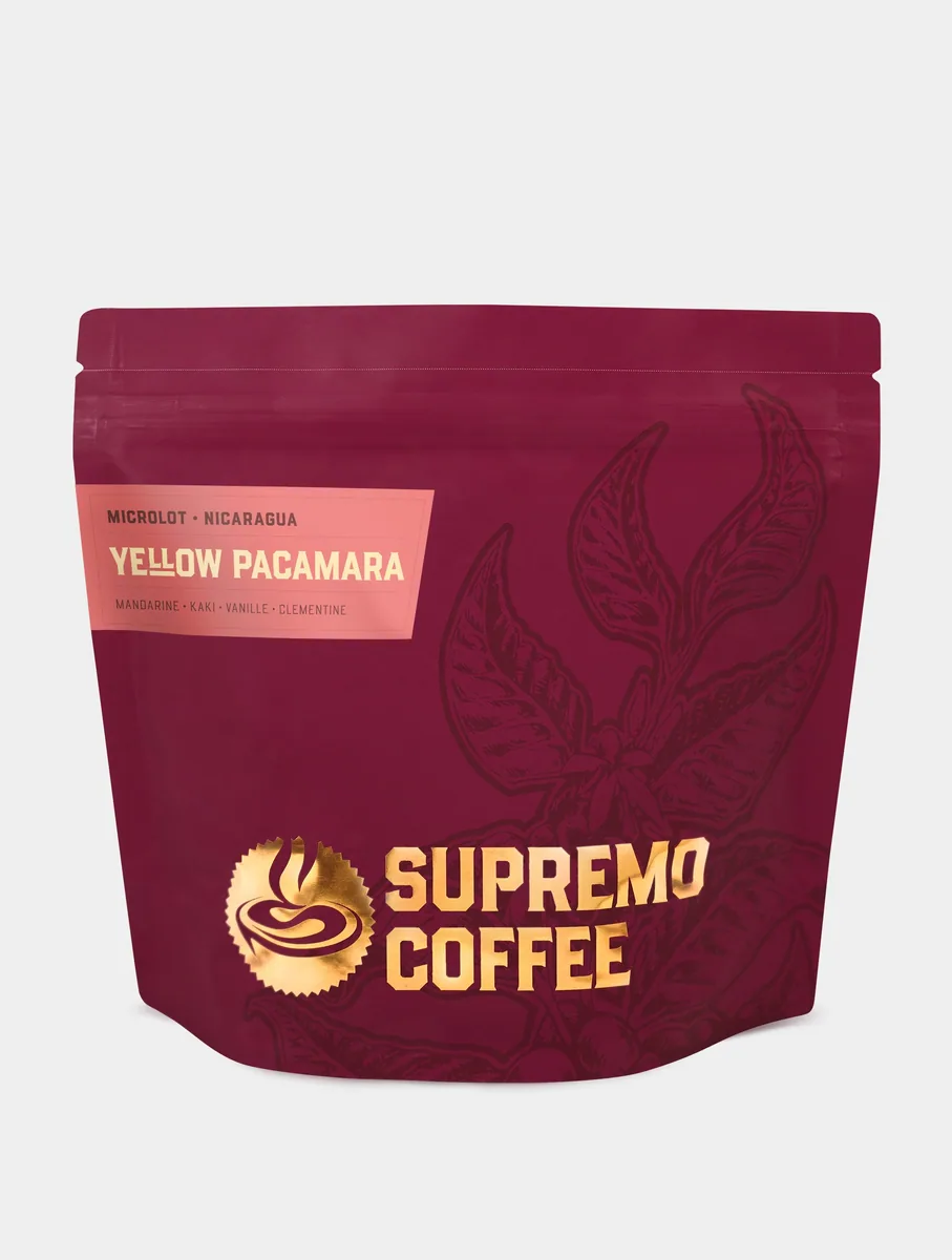 yellow pacamara coffee by supremo