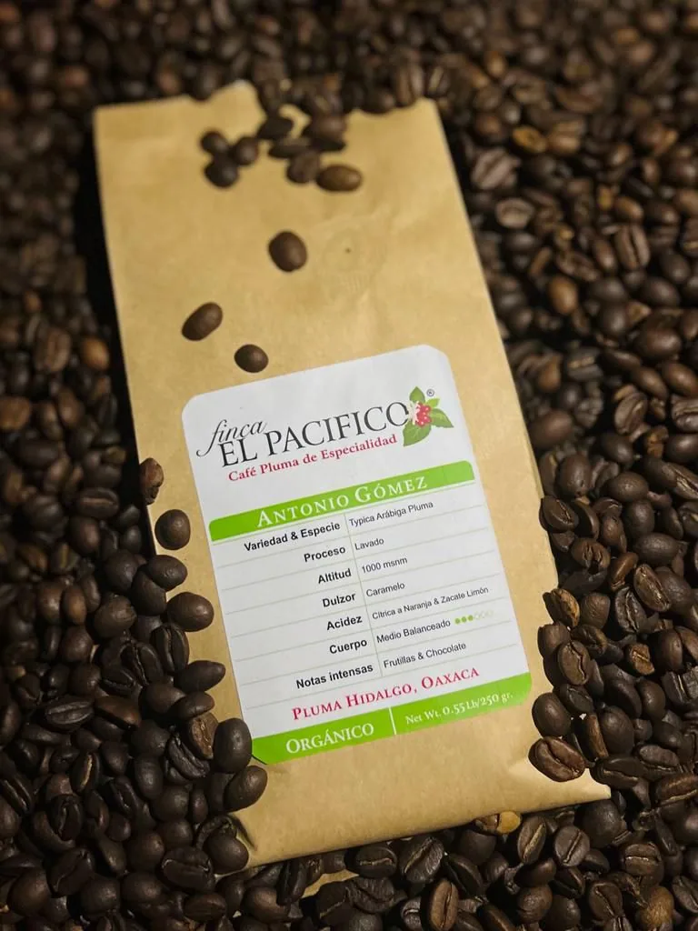 café “pluma” de especialidad en granos enteros bolsa de 250gr - mexico coffee by caffè cucinamatte ‘82