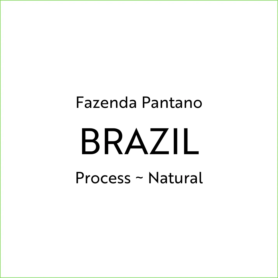 fazenda pantano coffee by corban coffee roasters