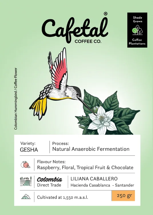 gesha natural coffee beans - colombia coffee by cafetal coffee co.