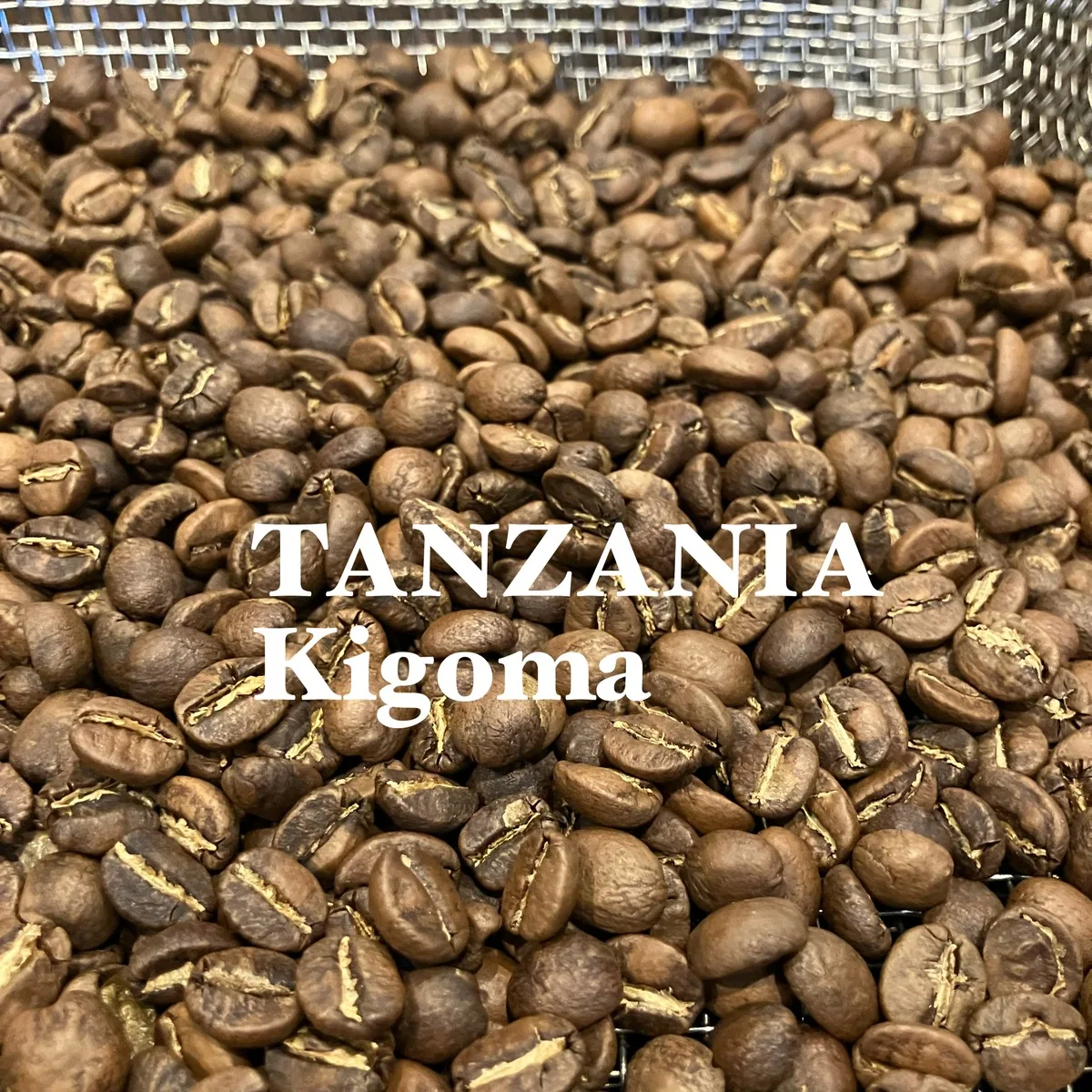タンザニア・キゴマ 200g/tanzania・kigoma coffee by jupiters coffee roasters