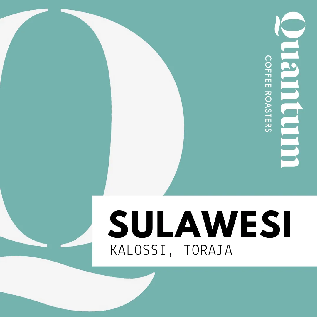 sulawesi (indonesia) - toraja, kalossi coffee by quantum coffee roasters