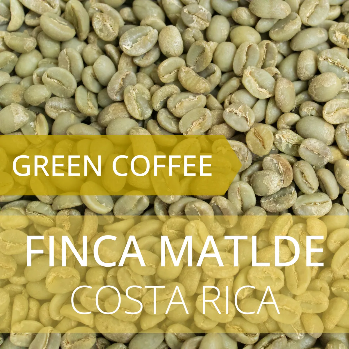 finca matilde - costa rica coffee by foundry coffee roasters