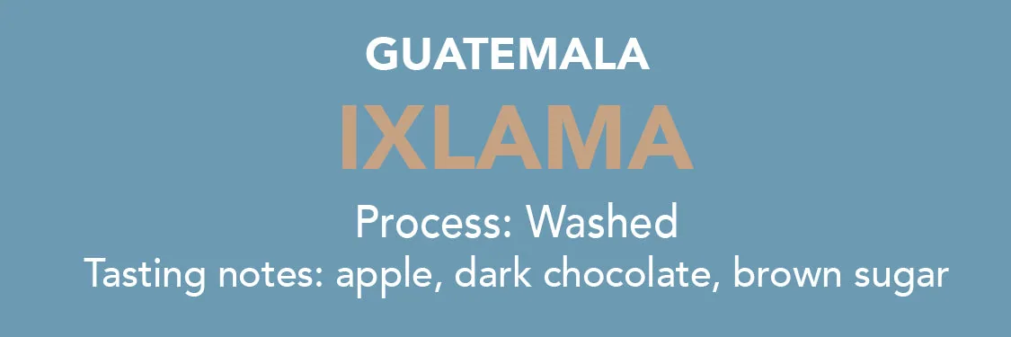 dose - guatemala ixlama coffee by methodical coffee