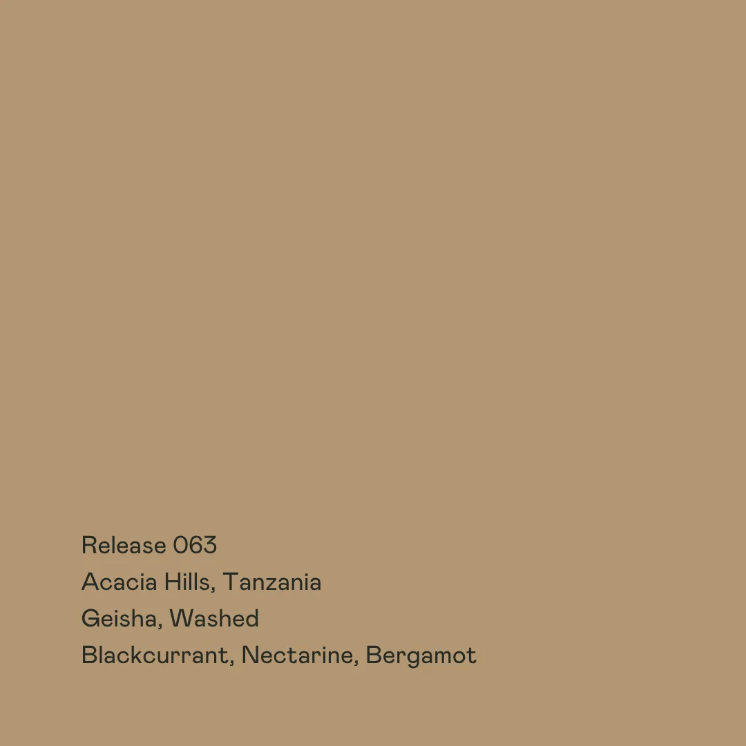 release 063 - acacia hills, gesha washed coffee by special guests