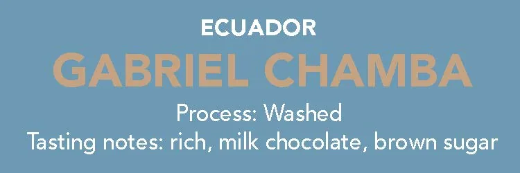 dose - ecuador, gabriel chambra coffee by methodical coffee