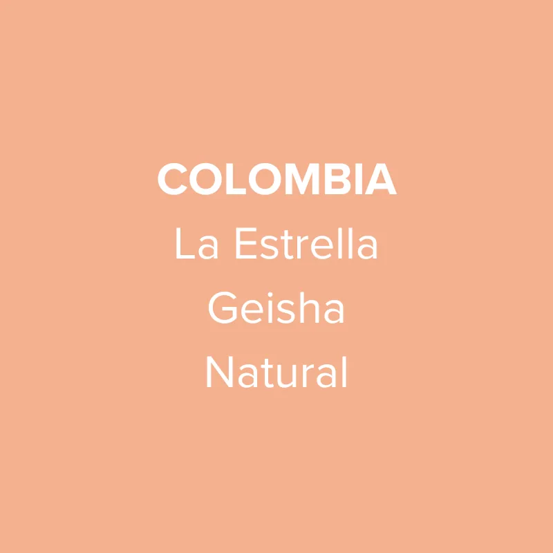 colombia la estrella geisha natural coffee by oma coffee roaster