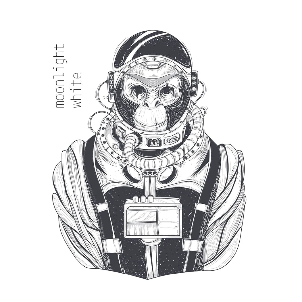 moonlight white tea - 40 gr - yunnan coffee by rum baba coffeeroasters shop & brew-bar east