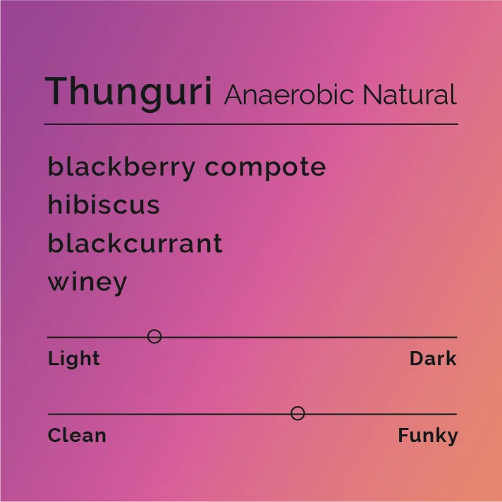 thunguri - anaerobic natural - kenya coffee by black & white coffee roasters
