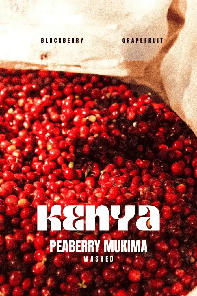 kenya – peaberry mukima coffee by marshall street coffee