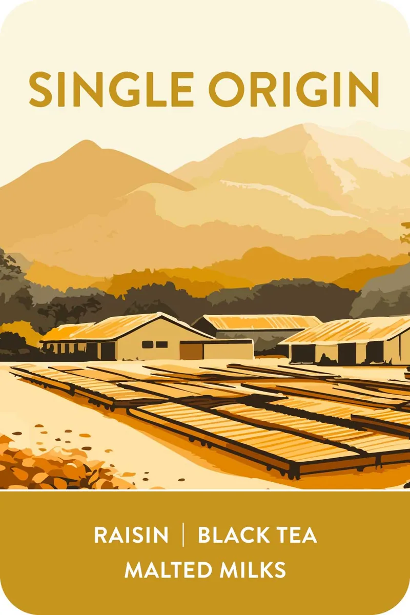 indonesia | kerinci coffee by voyager coffee