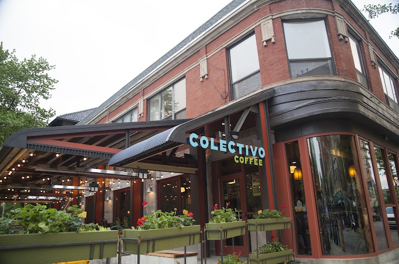 Colectivo Coffee of Lincoln Park