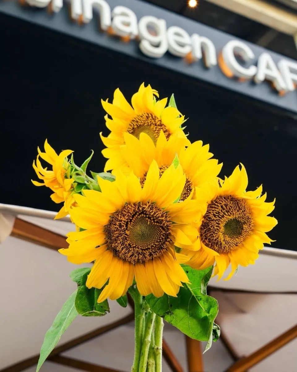 Copenhagen CAFE Canggu (via instagram)