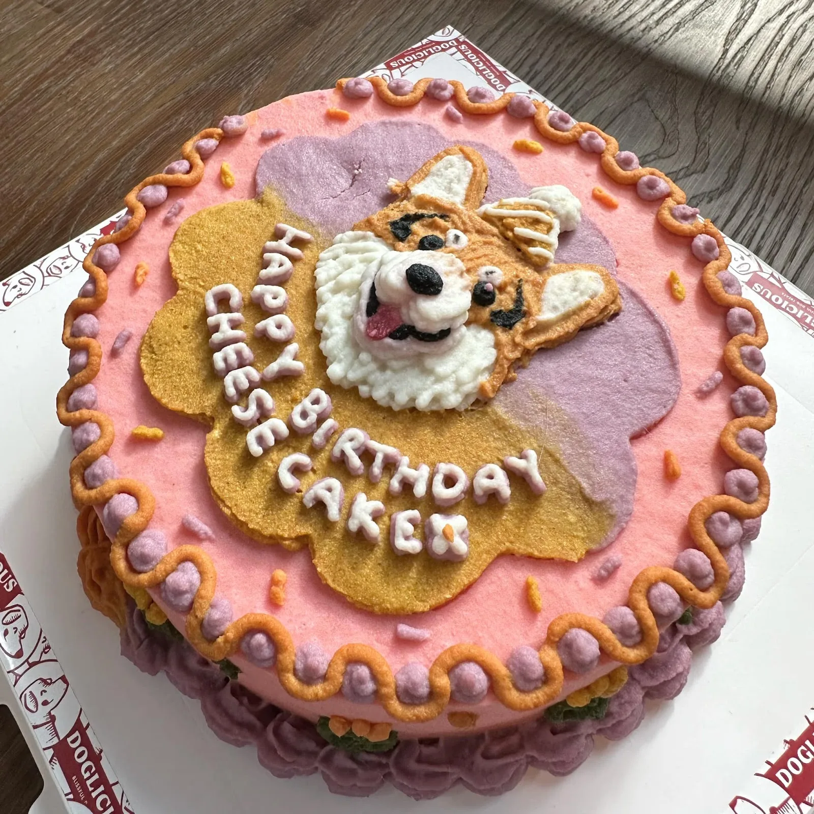 corgi in the garden, dog cafe in bangkok
