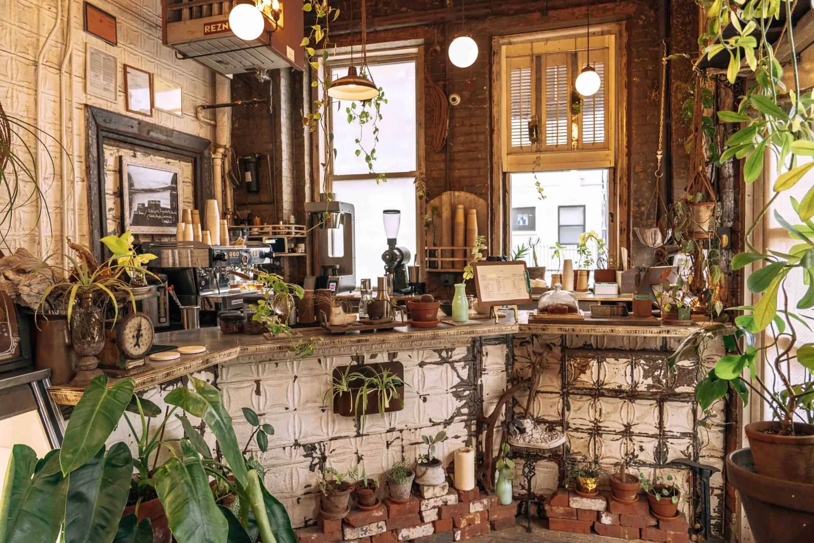 Cozy Spot Cafe in New York City, specialty coffee cafe