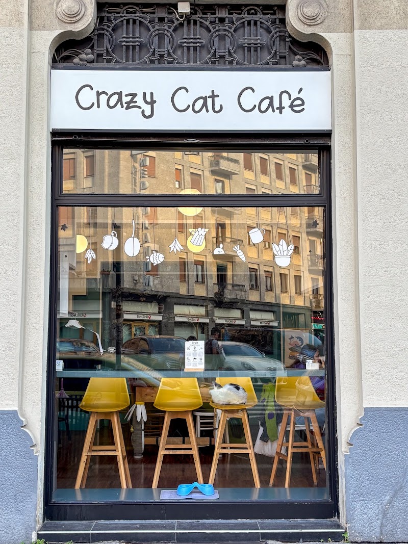 crazy cat café — cat cafe in milan