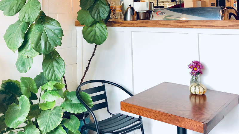 Cultivate Coffee Roasters in Raleigh — specialty coffee cafe