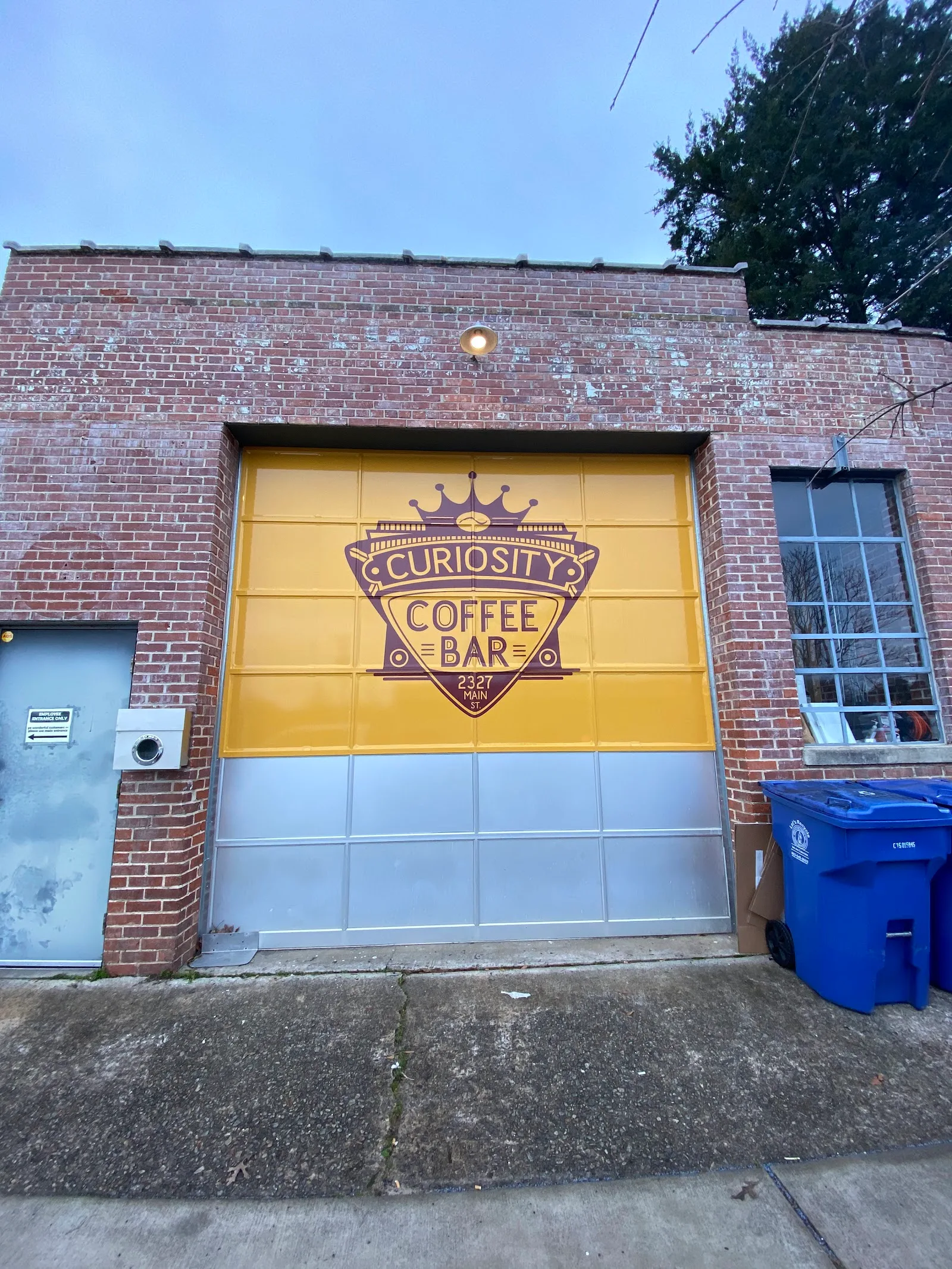 Curiosity Coffee Bar