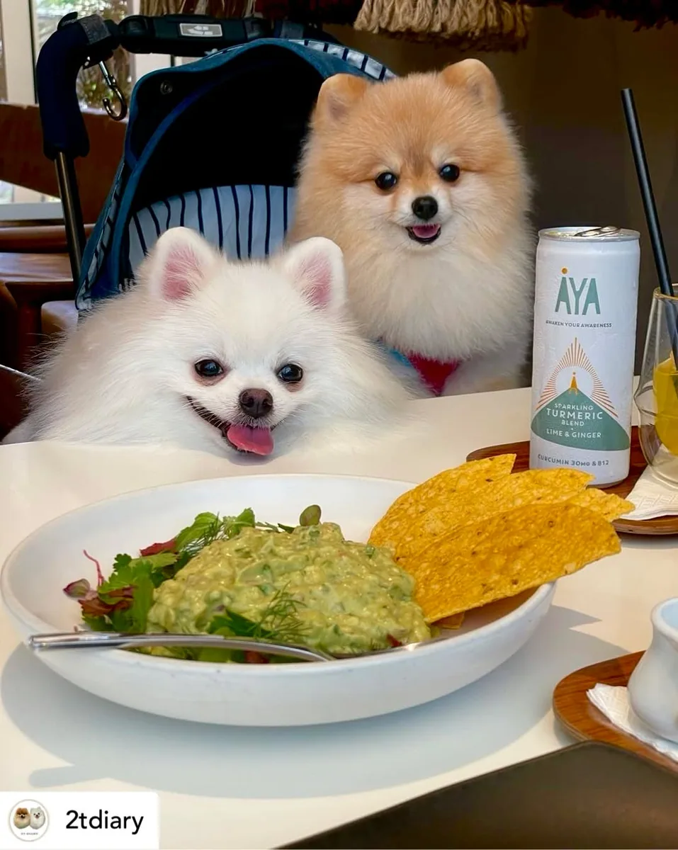 D'ARK EmQuartier - Comfort Food & Specialty Coffee in Bangkok, specialty coffee cafe