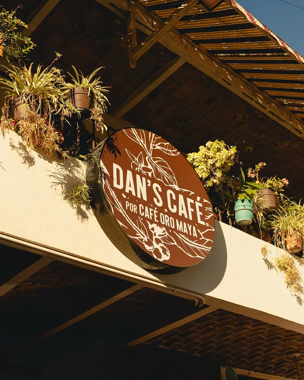 dan's café sign with hanging plants under wooden pergola structure., dan's café (by café oro maya), guadalajara