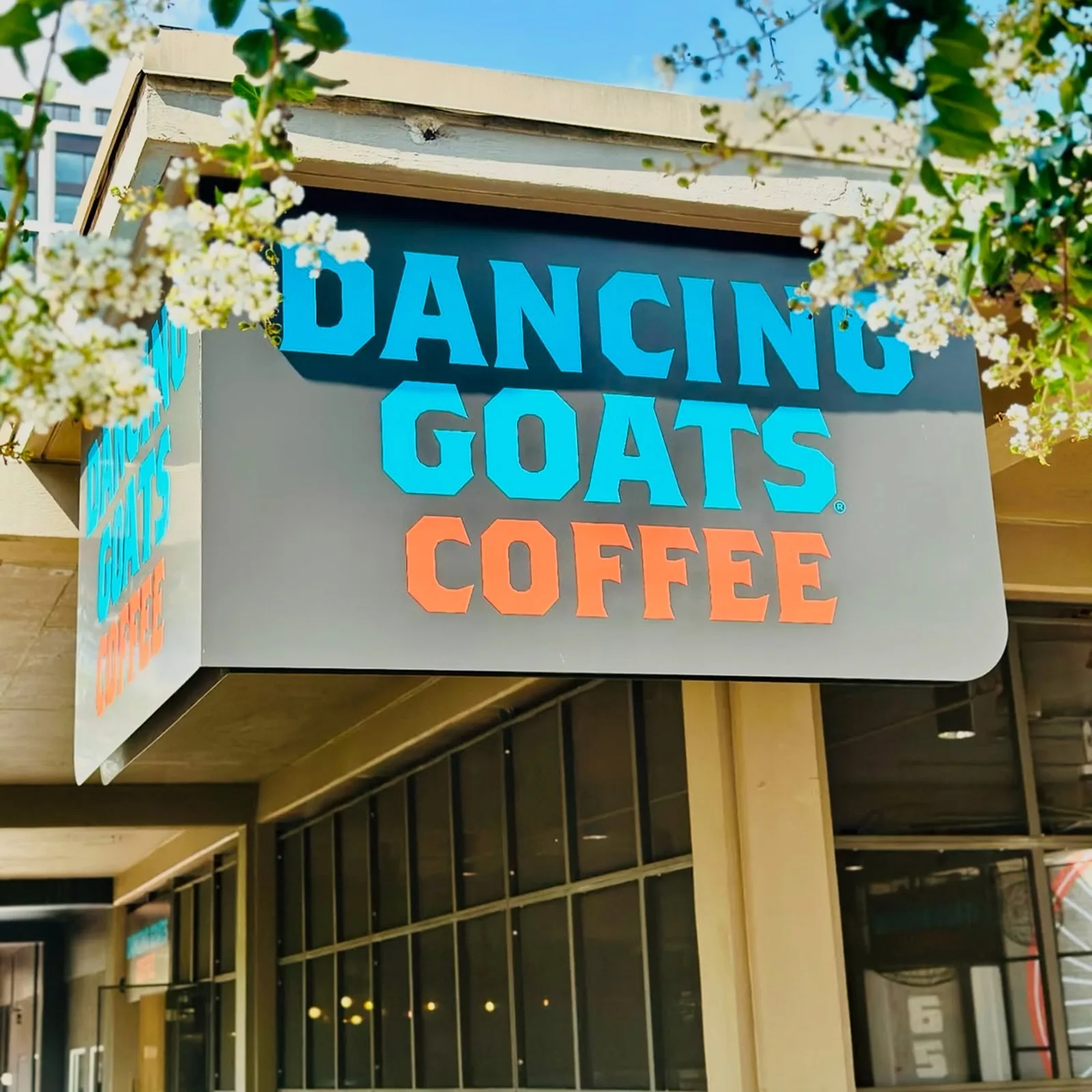 Dancing Goats in Atlanta, specialty coffee cafe