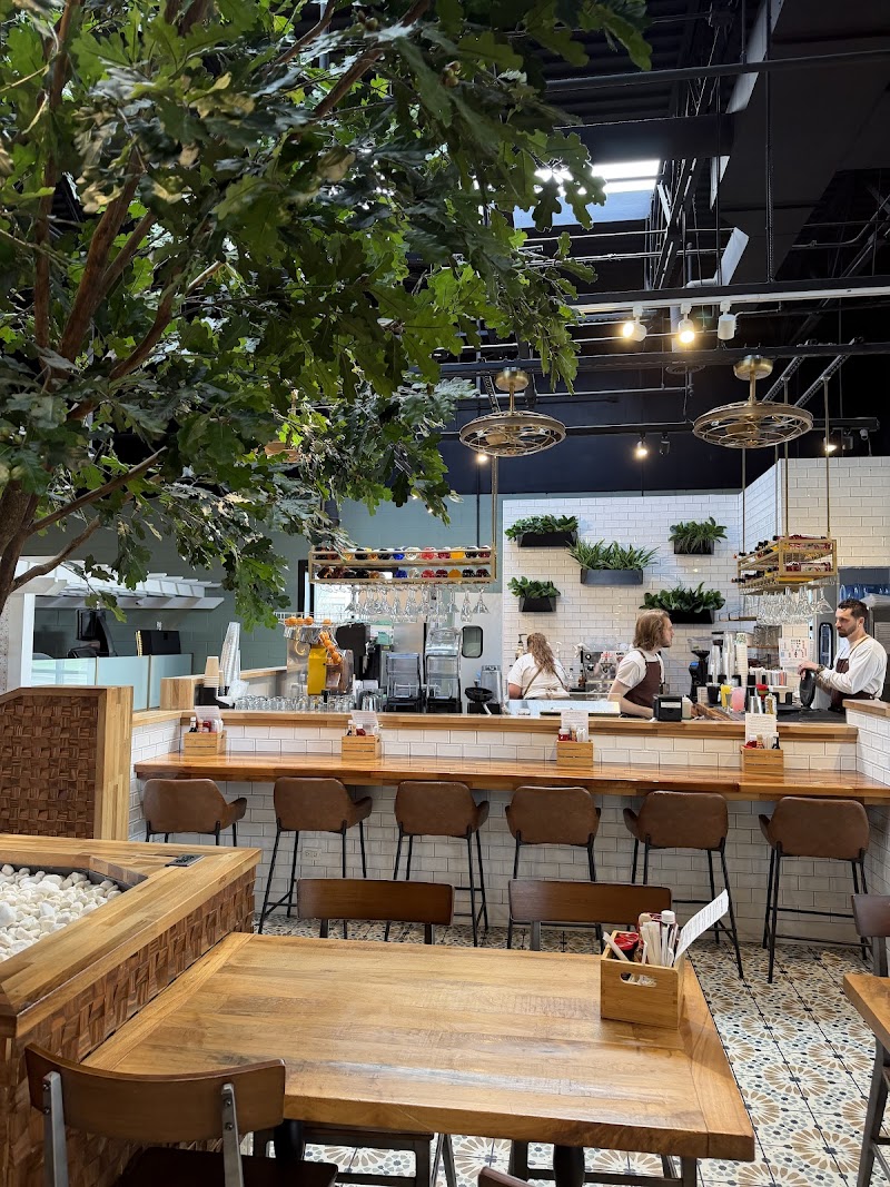 Darlene's Breakfast & Brunch in Chicago, specialty coffee cafe
