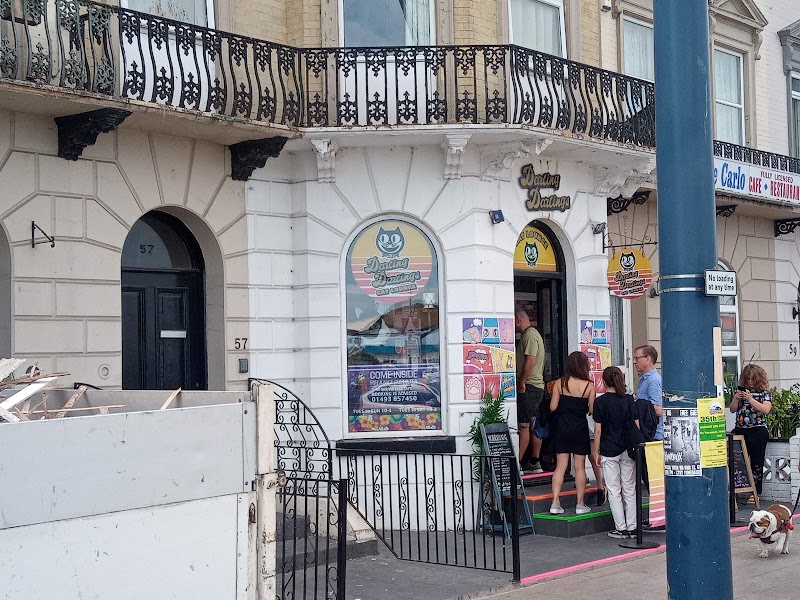Darling Darlings Cat Lounge in Great Yarmouth — specialty coffee cafe