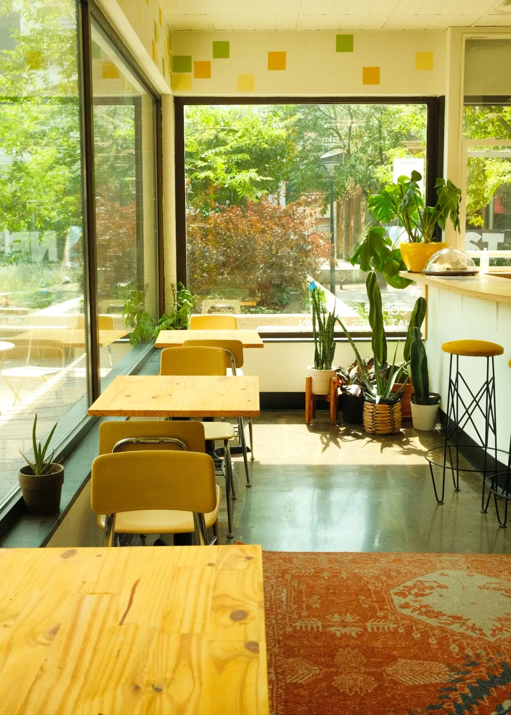 bright sunlit classroom or cafeteria with yellow chairs, wooden tables, and potted plants., daydrink, iowa city