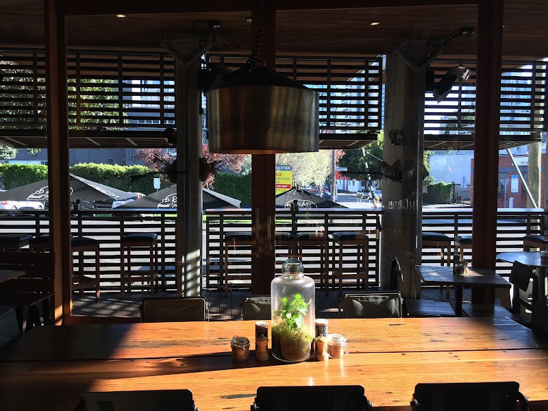 Dead Man Espresso in Melbourne — specialty coffee cafe