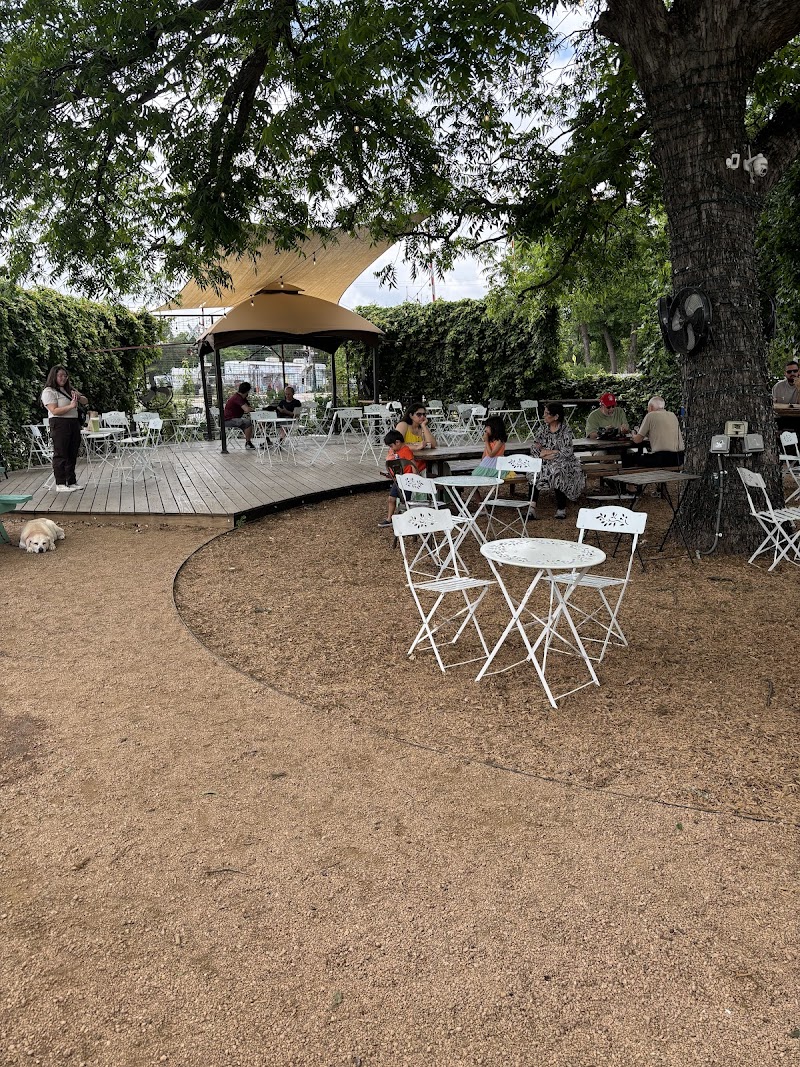 desnudo coffee, Austin, US