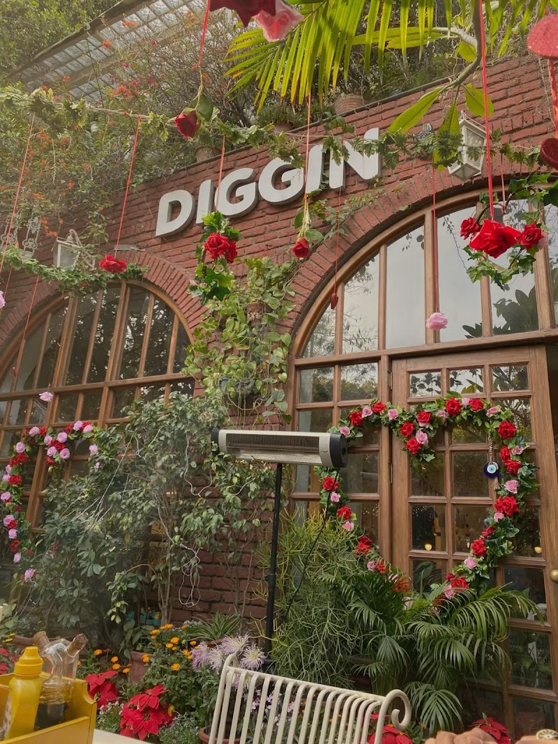 Diggin Cafe in New Delhi — specialty coffee cafe