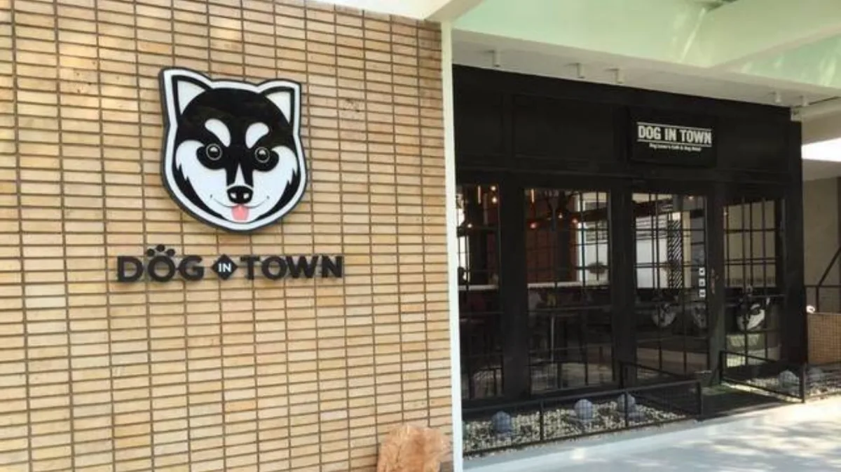 Dog in Town Ekkamai in Bangkok, specialty coffee cafe