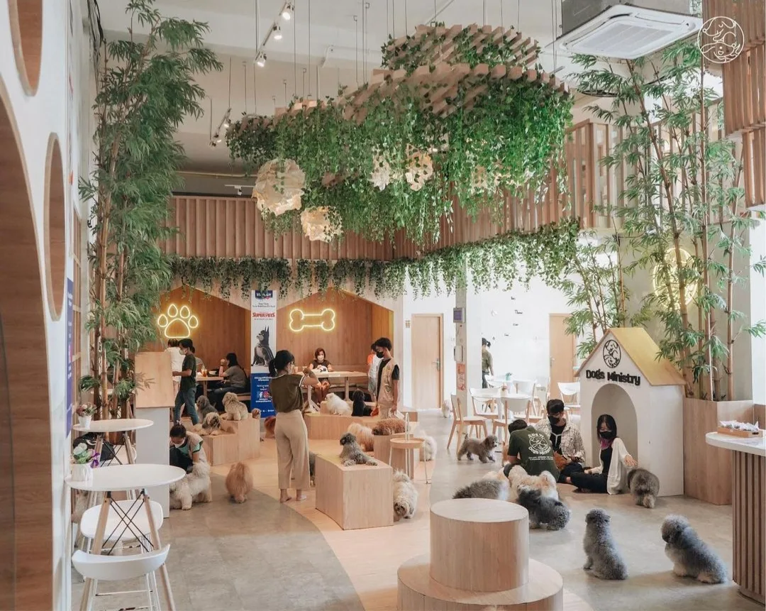 dogs ministry | dog cafe • grooming • spa • dog park • pet shop • dog pool • dog hotel & day care |, dog cafe in jakarta