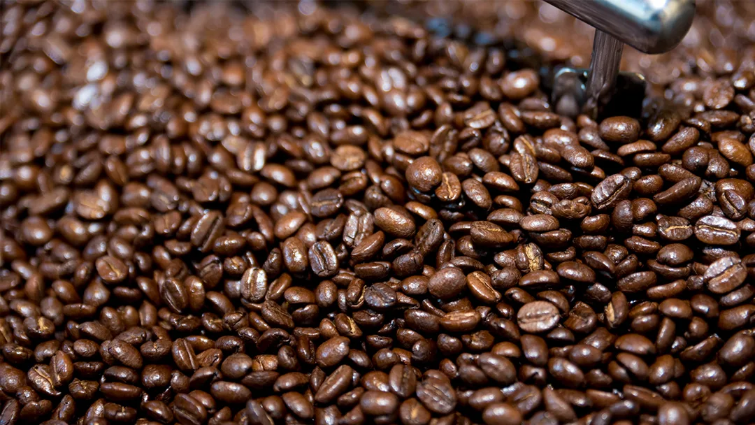 East Coast Roast Coffee in Hempstead — specialty coffee roaster