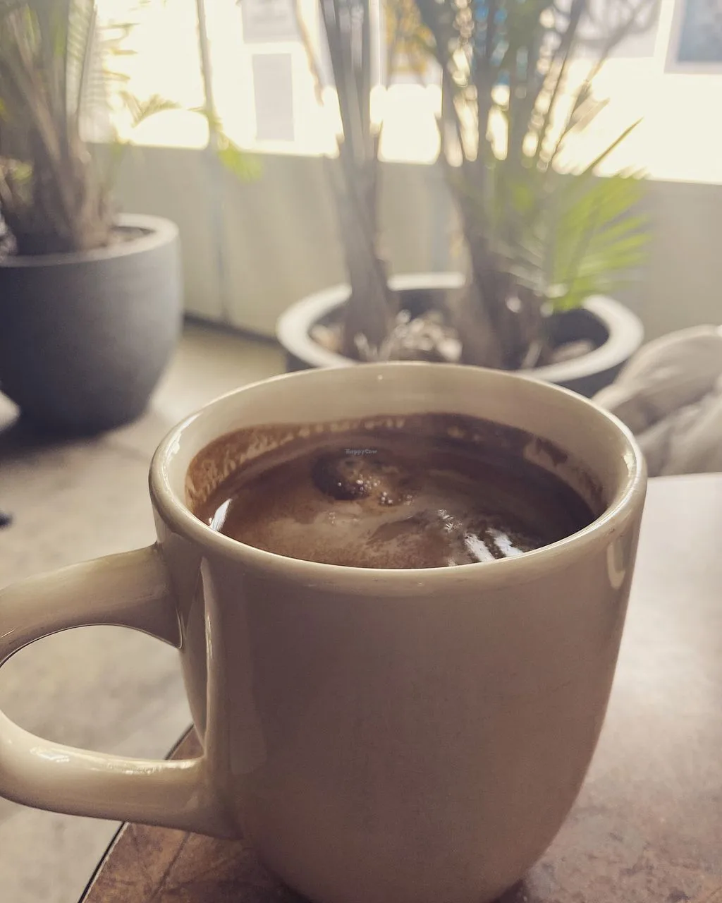 fair grounds organic cafe & roastery café, etobicoke
