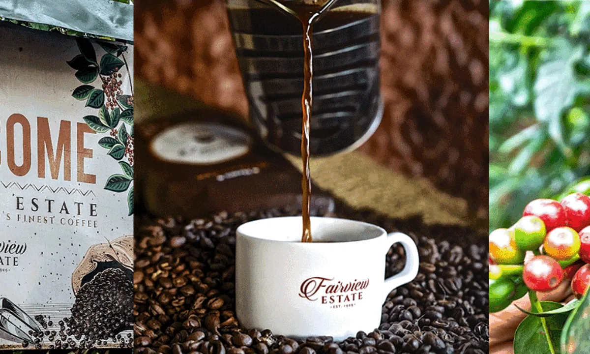 Fairview Coffee Estate - specialty coffee roaster in Kiambu