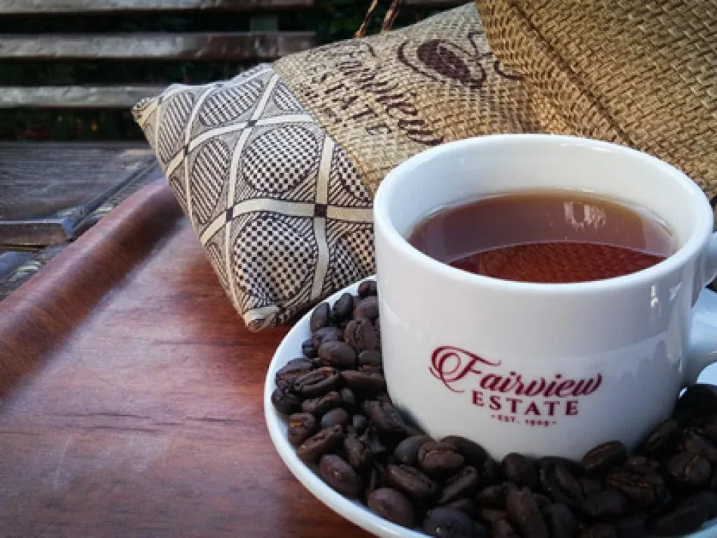 fairview estate coffee cup with dark roasted beans and woven cushions outdoors., fairview coffee estate, kiambu