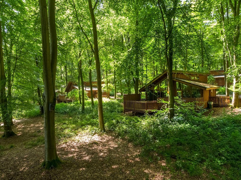 Forest Holidays Blackwood Forest in Winchester — specialty coffee cafe