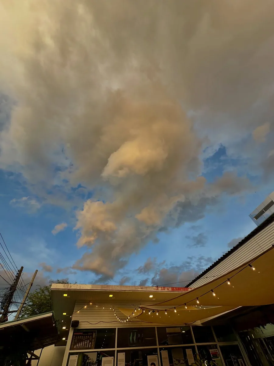 Free Bird Cafe CNX Donation Center and Thrift Store (via instagram)