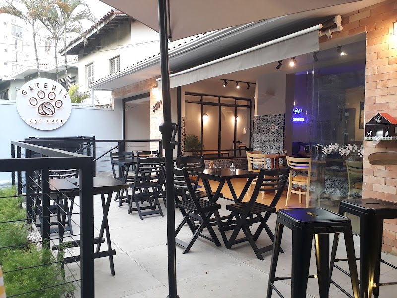 gateria cat cafe, cat cafe in são paulo