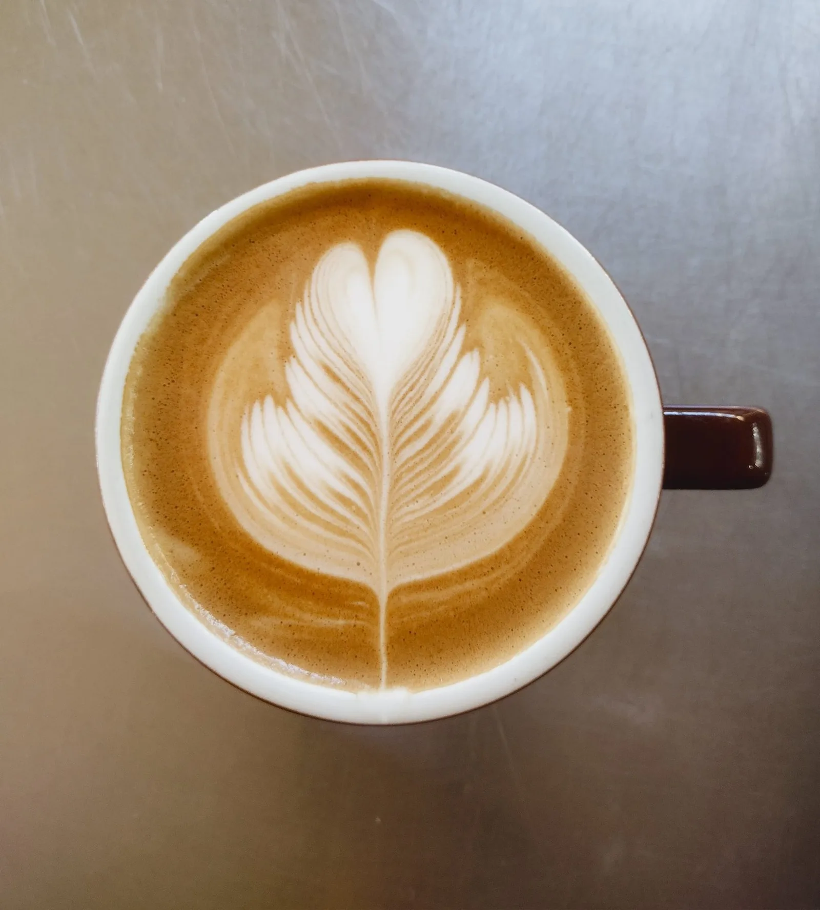 latte with intricate tulip latte art in white ceramic cup with brown handle., gathering grounds cafe & roastery, klamath fall