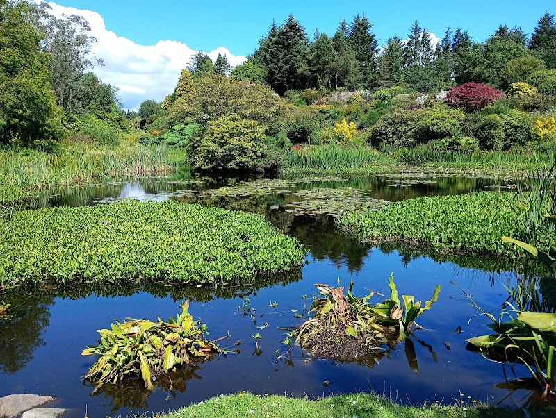 Glenwhan Gardens and Tearoom