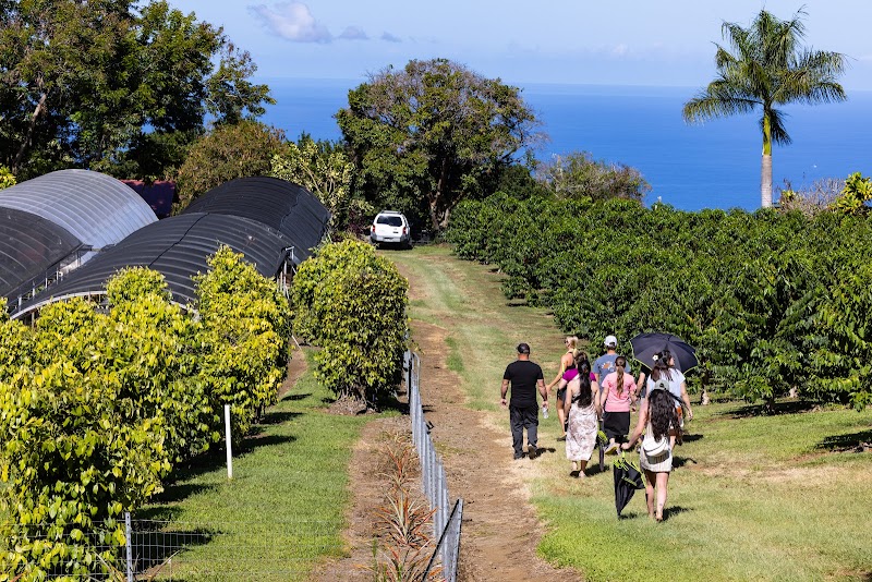 greenwell farms, Kealakekua, US