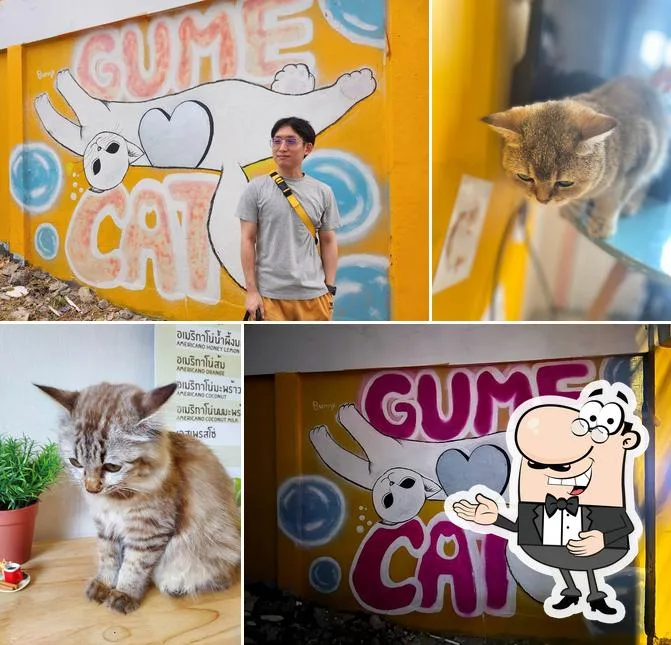 man poses with colorful street art mural featuring cats and cartoon characters., gume cat cafe อาบน้ำ-ตัดขน(หมา&แมว) โรงแรมรั