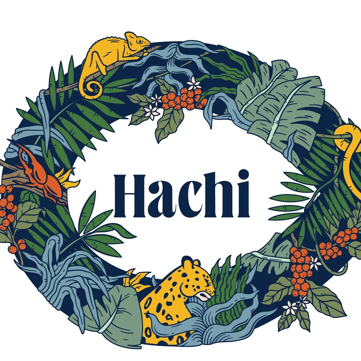 tropical jungle wreath with chameleons, leopard, vines, berries, and "hachi" text., hachi coffee, lincoln