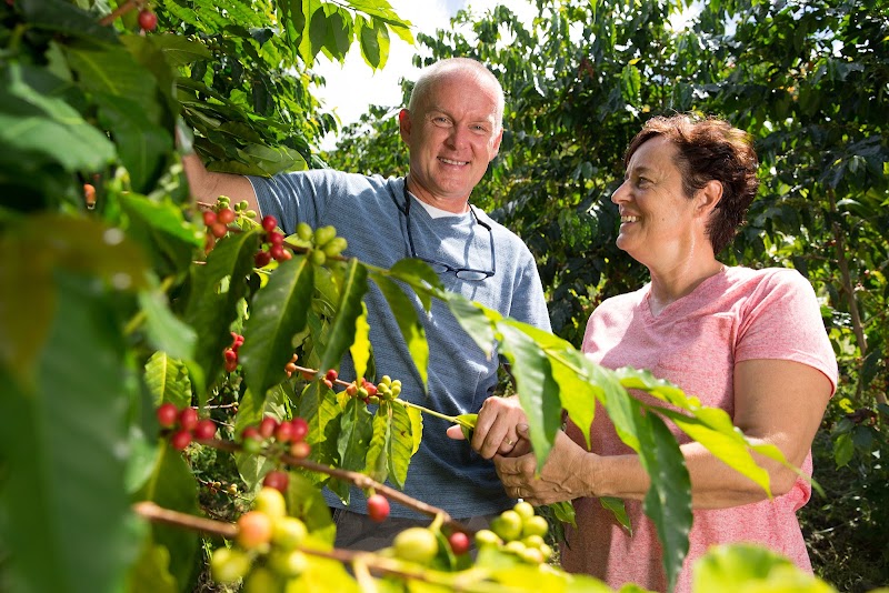 Hala Tree Coffee