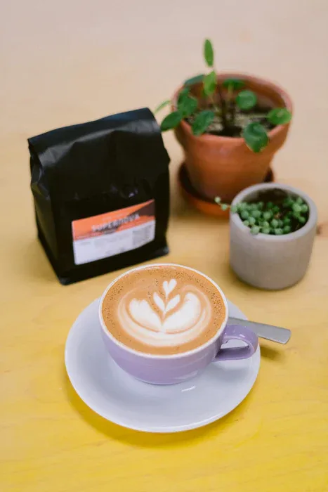 latte with latte art, coffee bag, and potted succulents on yellow surface., hatch coffee roasters, markham
