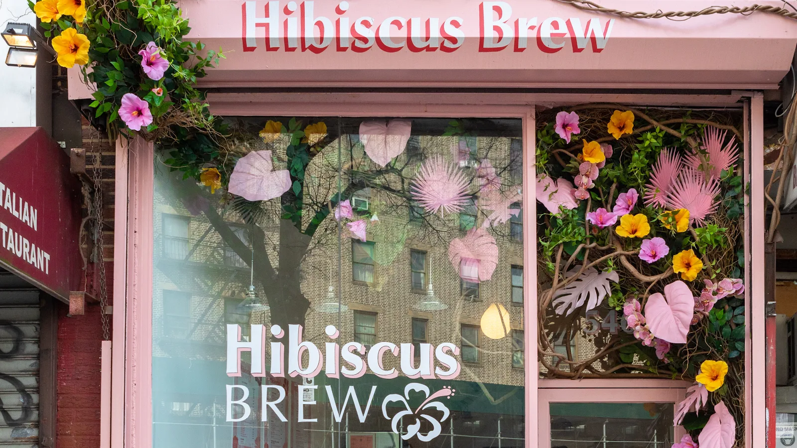 Hibiscus Brew in New York City, specialty coffee cafe