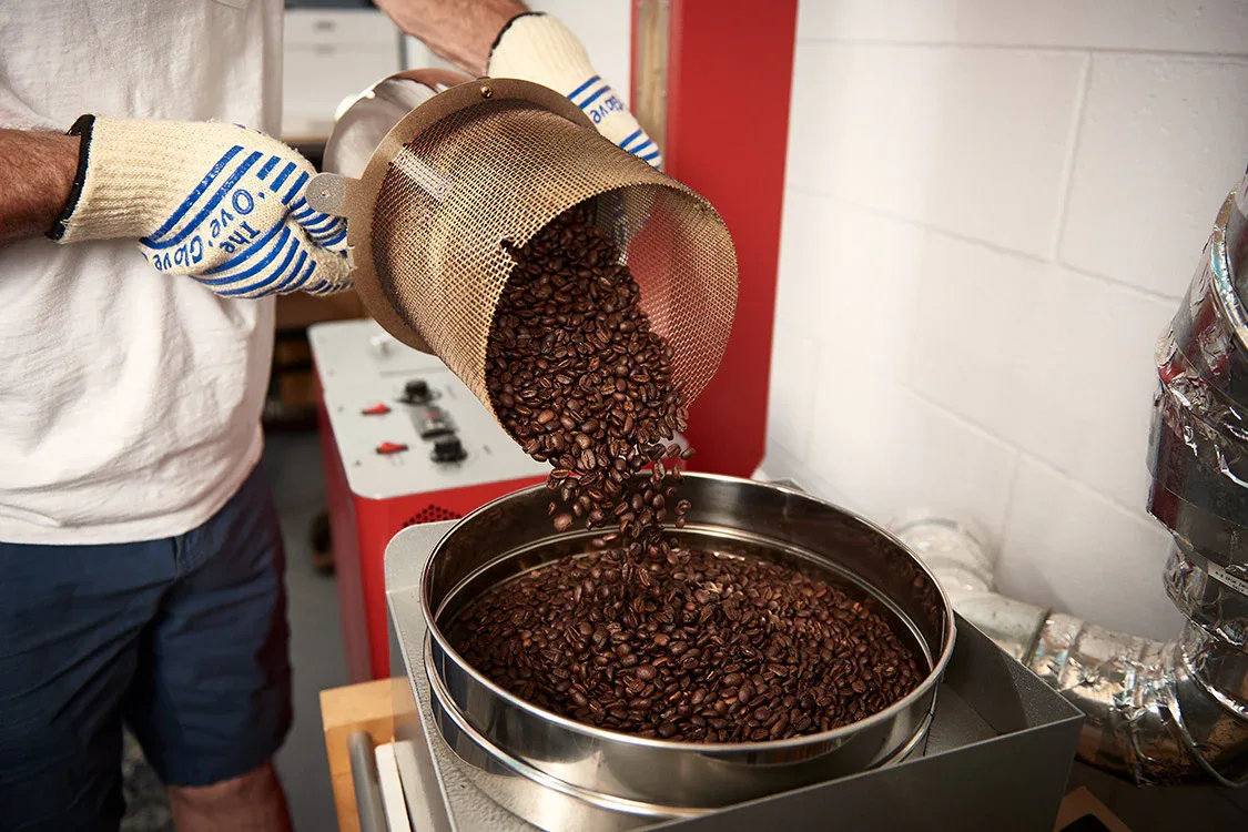 person pouring roasted coffee beans from mesh strainer into metal bowl., honest to pete coffee roasters, vancouver