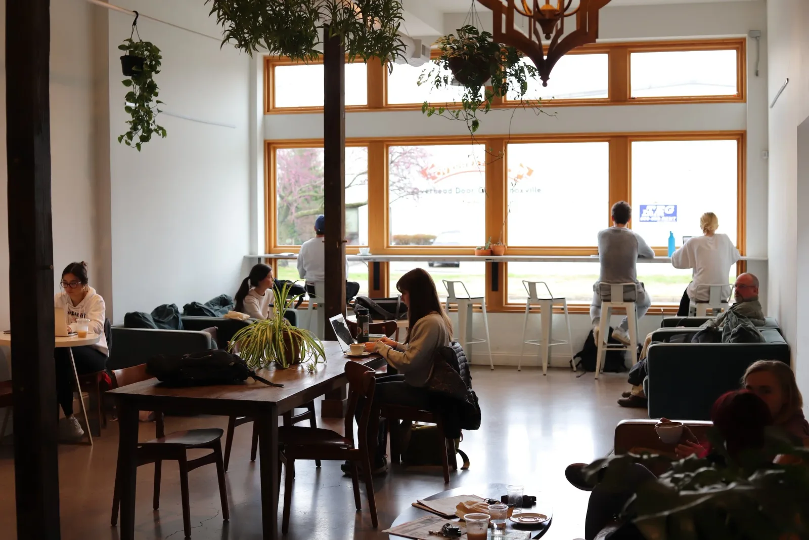 modern communal workspace with natural light, plants, and people working at tables., honeybee coffee co., knoxville